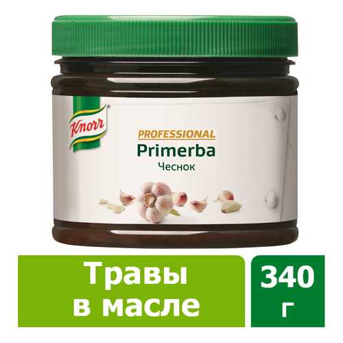Приправа в растительном масле Knorr Primerba чеснок 340 г в Глобус