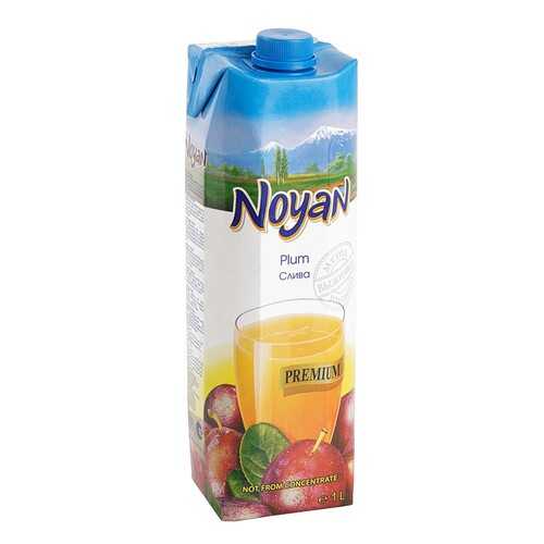 Сливовый нектар Noyan premium 1 л в Глобус